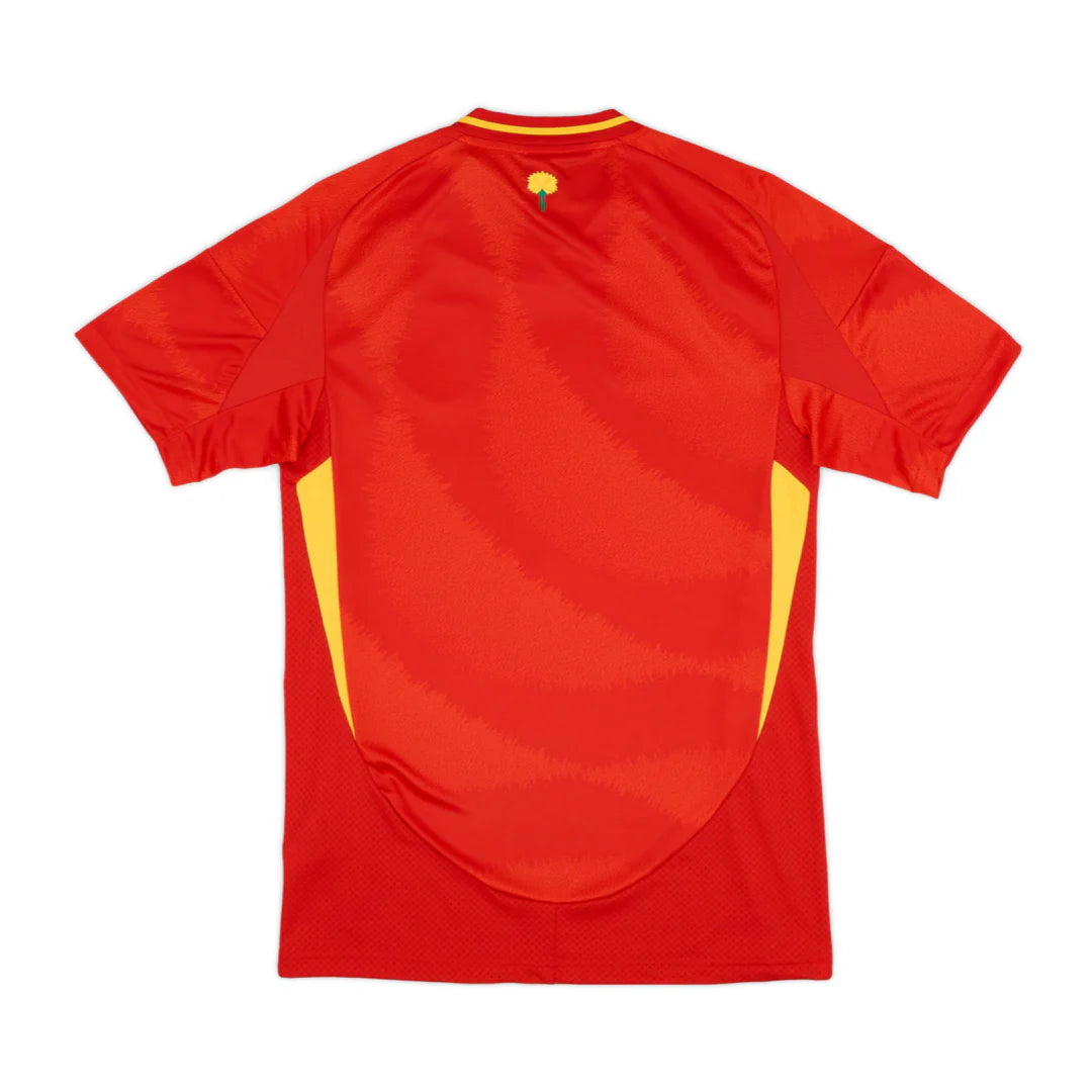 Spain Home Kit 2024