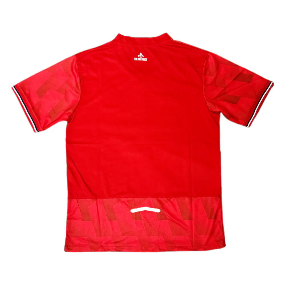 Lille OSC Home Kit 25/26