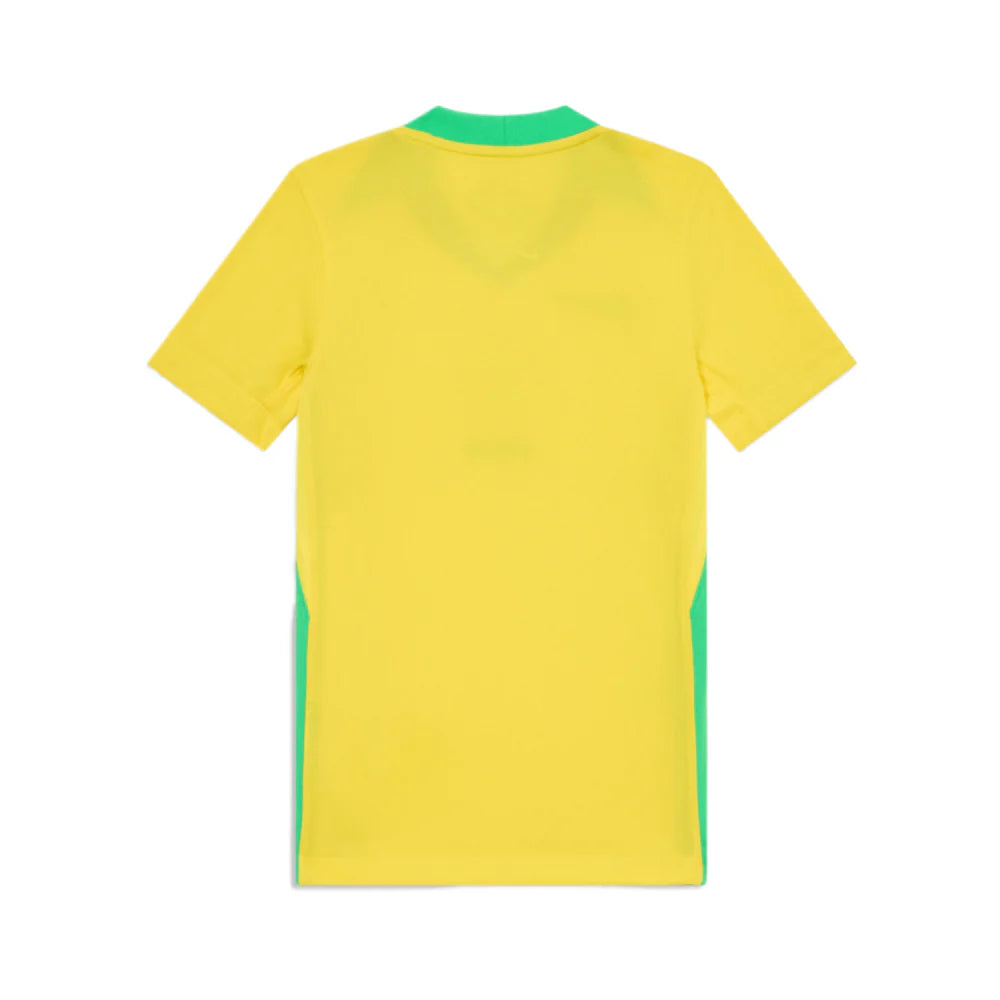 Brazil Home Kit 2025
